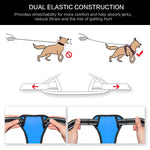 Dog Harness - Blue