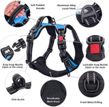 Dog Harness - Blue