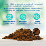 Dry Dog Food, All Breeds & Life Stages