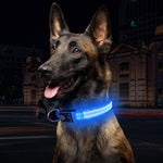 Dog Collar with FLashing LED Light