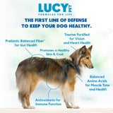 Dry Dog Food, All Breeds & Life Stages