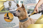Hands-Free Dog Leash