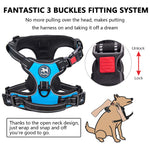 Dog Harness - Blue