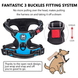 Dog Harness - Blue