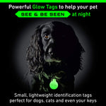 Dog / Cat Glow Tag - Glow in The Dark