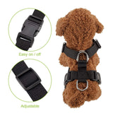 Dog Harness And Seatbelt Combo