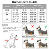 Dog Harness And Seatbelt Combo