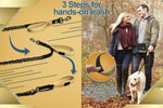 Hands-Free Dog Leash