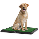 Artificial Grass Puppy Pad - for Dogs and Small Pets