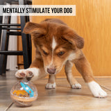 Dog Treat  Dispensing Toy Ball