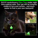 Dog / Cat Glow Tag - Glow in The Dark