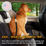 Dog Seat Belt - 2 Pack Black